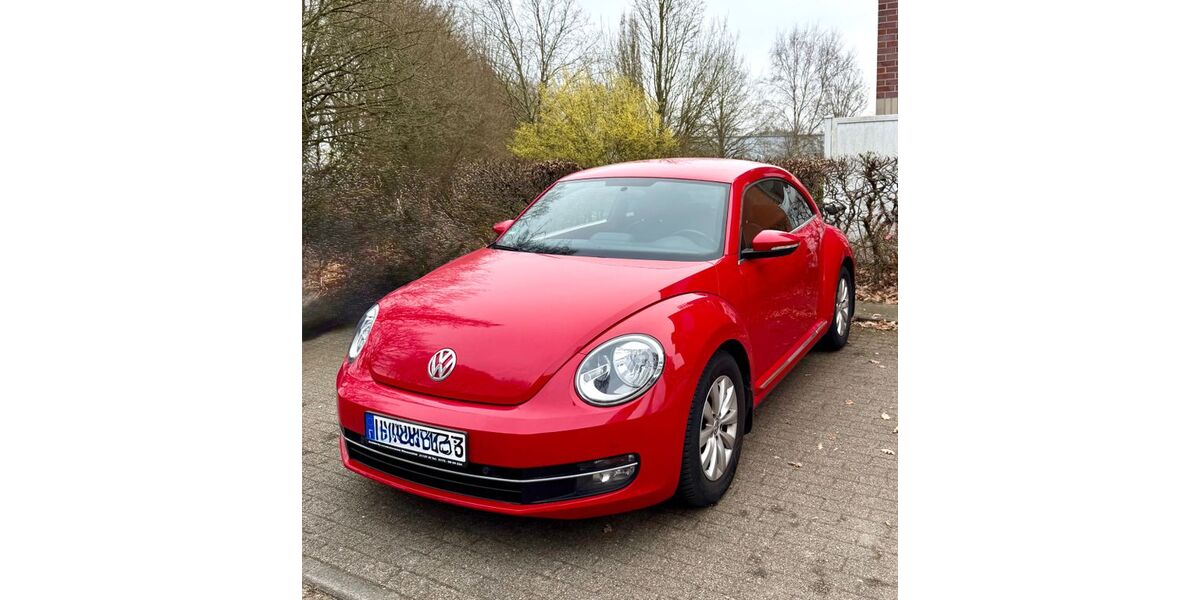 VW Beetle 135.000 km 6.999 &euro; Lübeck 23562