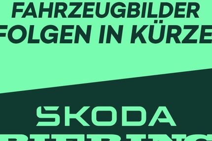 Skoda Octavia 20.000 km 31.990 &euro; Schwielowsee OT Geltow 14548