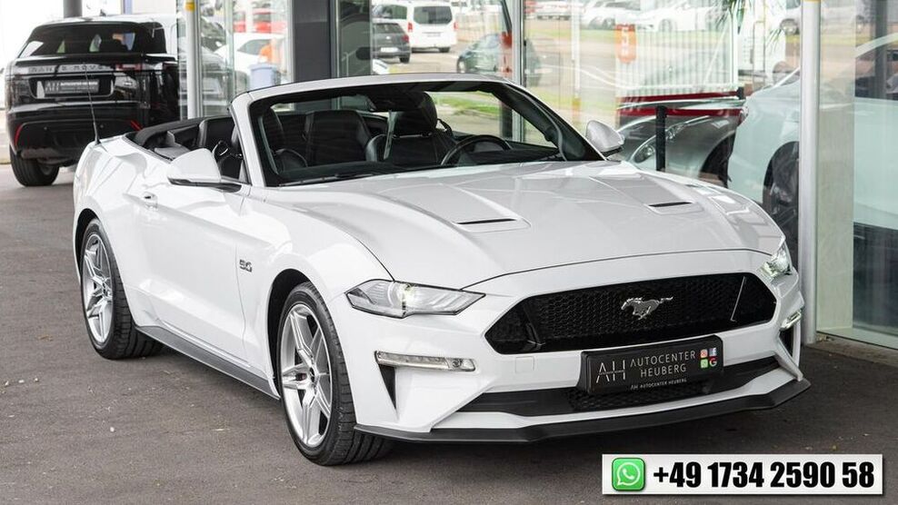 Mustang