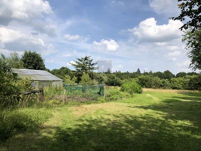 IDYLLISCH, TRAUMHAFTE ALLEINLAGE ZUM ENTSPANNEN - Einfamilienhaus Moorweg | Angebot:26768659