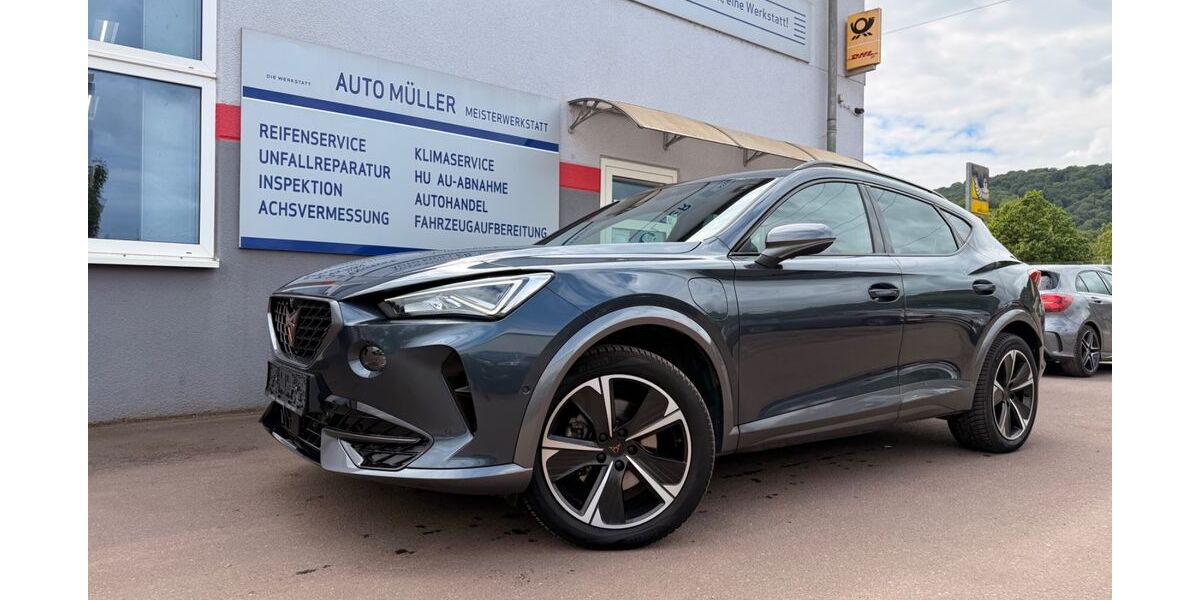 Cupra Formentor 37.826 km 23.170 &euro; Wasserliesch 54332