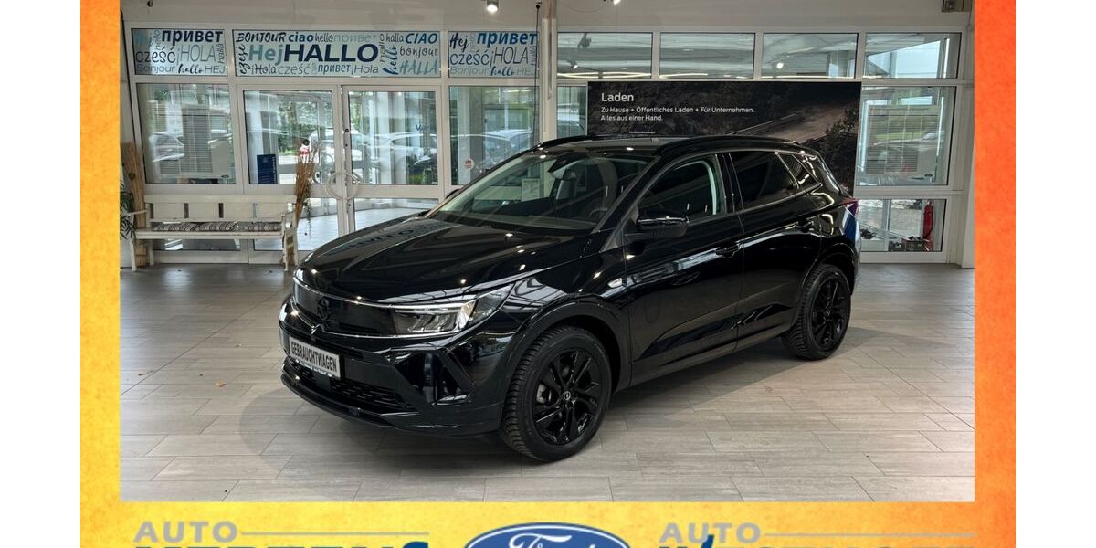 Opel Grandland (X) 31.173 km 21.950 &euro; Beckum 59269