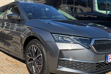 Skoda Octavia 14.900 km 31.990 &euro; Münzenberg 35516