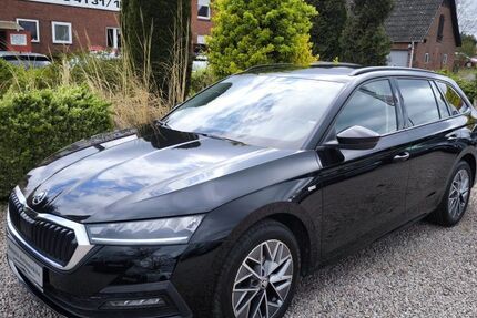 Skoda Octavia 78.800 km 22.480 &euro; Bardowick / Lüneburg 21357