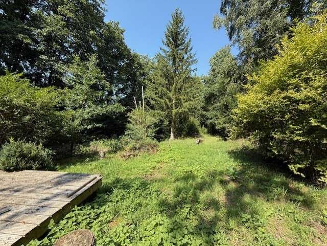 Grundstück zu verkaufen in Wehrheim - Friedrichsthal 68.000 € 2042 m²