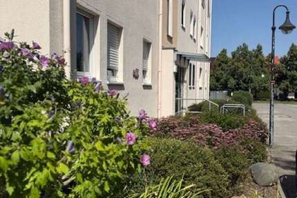 Wohnung zum Kaufen in Borsdorf 150.000 € 60 m²
