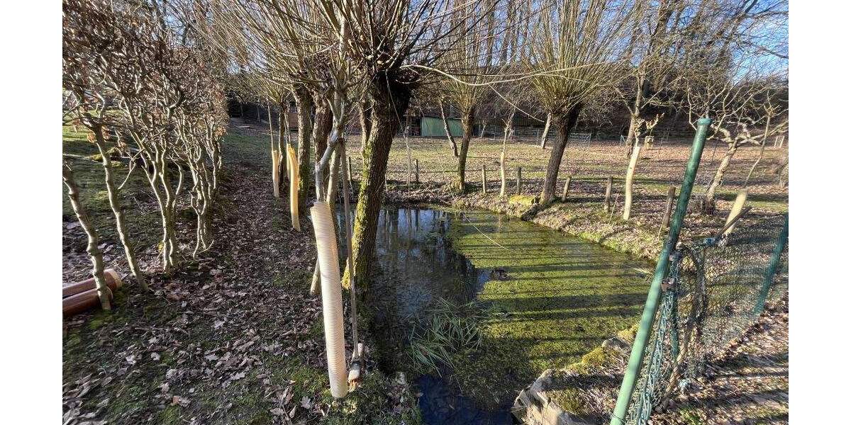 Grundstück Extertal-Bösingfeld Bösingfeld - 51.000&euro; | Angebot:25729448