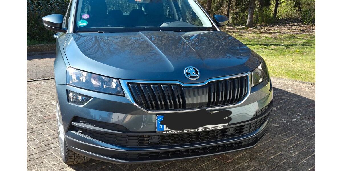 Skoda Karoq 114.000 km 16.880 &euro; Blieskastel 66440
