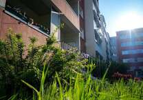 Wohnung zum Mieten in Halle (Saale) 340 € 56.96 m²