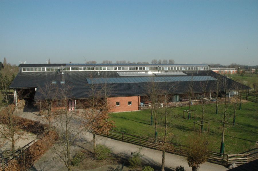 Provisionsfrei* Reithalle + Gewerbehalle auf Erbpachtbasis - Gewerbeobjekt Rees | Angebot:24375123