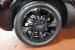 Corsa GS, All Black, Allwetterreifen