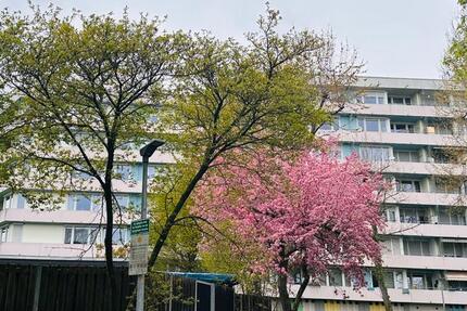 Wohnung Ludwigsburg - 3.5 Zimmer, 81 m&sup2;, 279.000&euro; | Angebot:26522448