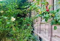 #VERMITTELT# Schönes Mehrfamilienhaus aus der Jahrhundertwende mit Garage und Hinterhäuschen -