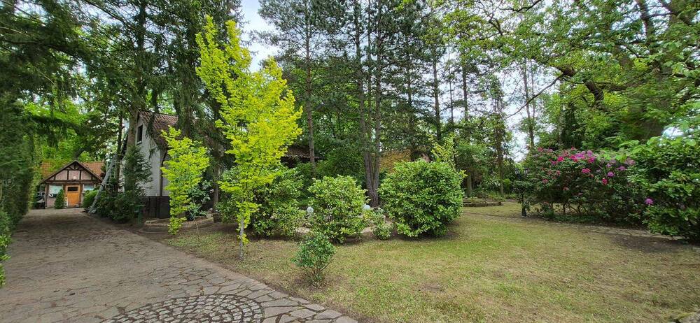 Charmantes EFH mit viel Liebe zum Detail auf individuellem Grundstück - Einfamilienhaus Gartow Nienwalde | Angebot:26756142