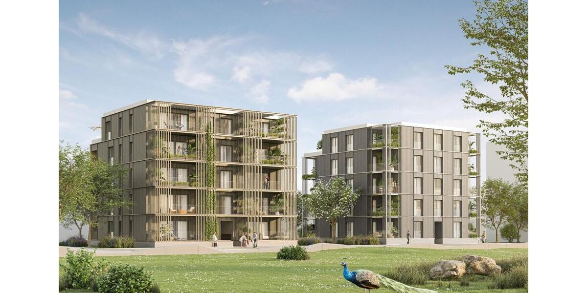 Etagenwohnung Neckargemünd - 2 Zimmer, 45 m&sup2;, 645&euro; | Angebot:25903875