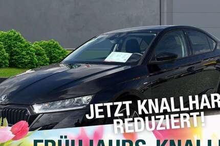 Skoda Octavia 54.459 km 19.990 &euro; Bindlach 95463