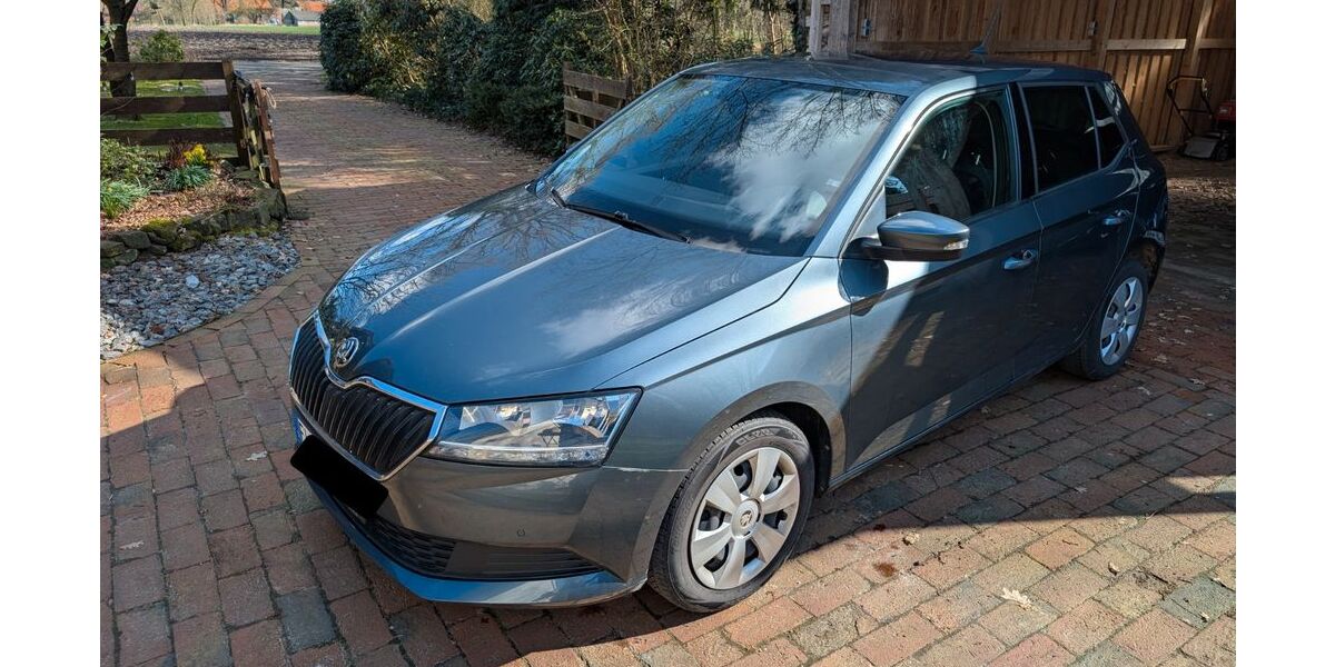 Skoda Fabia 70.334 km 14.300 &euro; Lingen (Ems) 49808