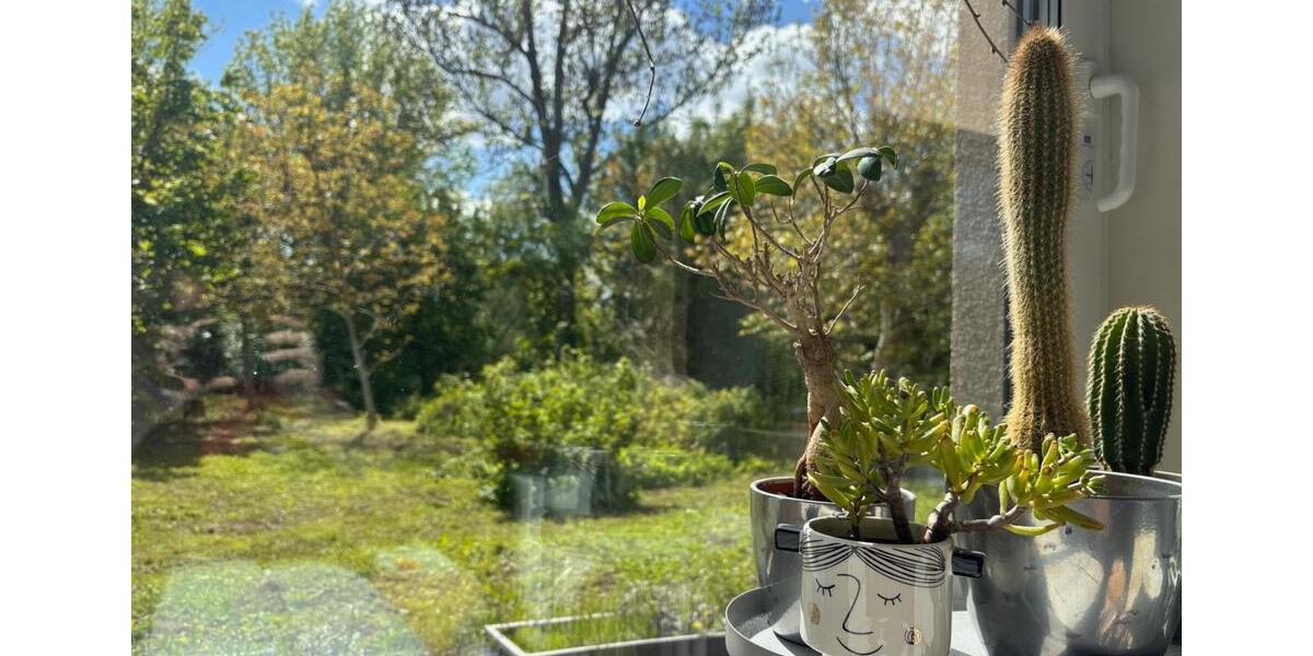 Einfamilienhaus Teutschenthal - 8 Zimmer, 205 m&sup2;, 699.000&euro; | Angebot:27244964