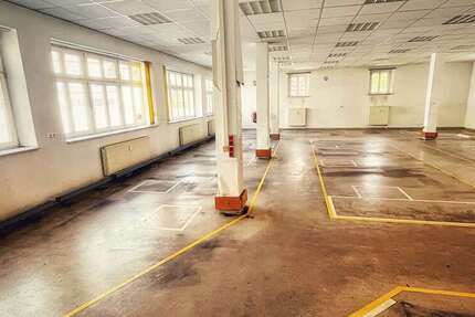 Büro in Torgau 1.250 € 250 m² zimmer