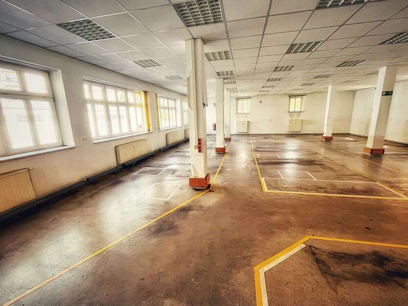 Büro in Torgau 1.250 € 250 m² zimmer