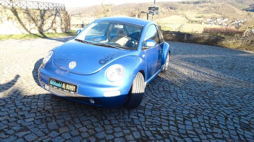 Beetle