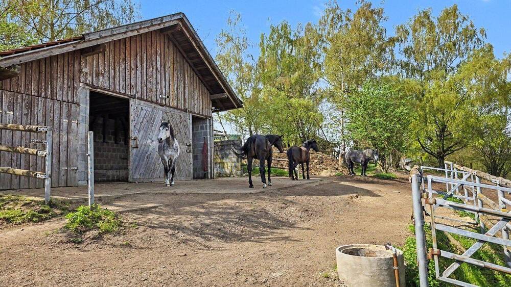 Bauernhaus, Landhaus Saldenburg Hundsruck - 8 Zimmer, 187 m&sup2;, 890.000&euro; | Angebot:26401164