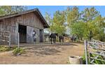 Bauernhaus, Landhaus Saldenburg Hundsruck - 8 Zimmer, 187 m&sup2;, 890.000&euro; | Angebot:26401164