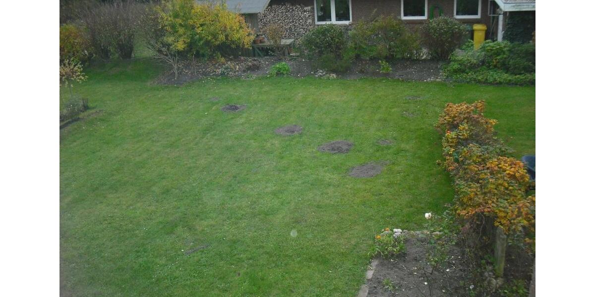 Doppelhaushälfte Husum - 4 Zimmer, 100 m&sup2;, 1.400&euro; | Angebot:24118106