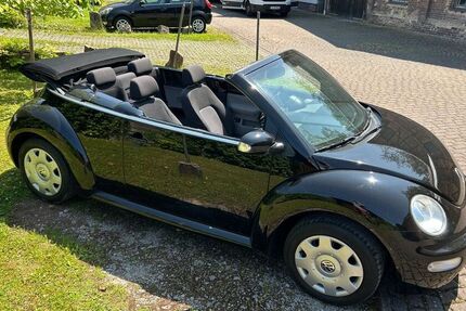 VW Beetle