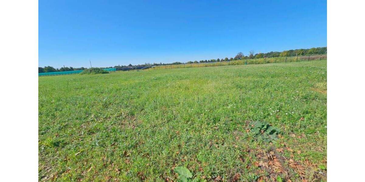 Grundstück Küstriner Vorland Manschnow - 130.000&euro; | Angebot:25699638