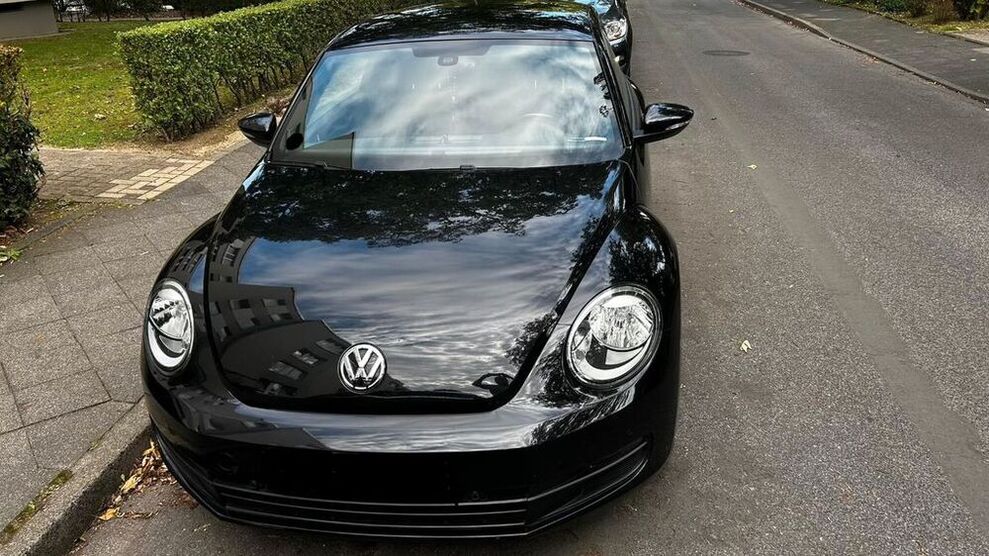 Beetle