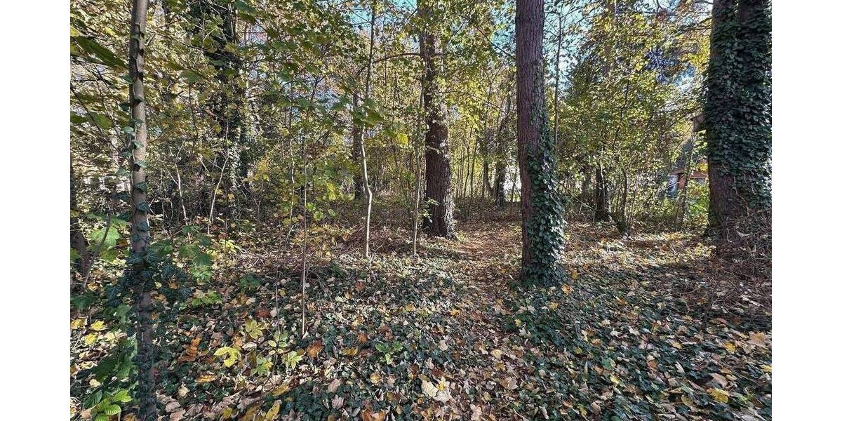 Grundstück Oranienburg - 249.000&euro; | Angebot:26875167