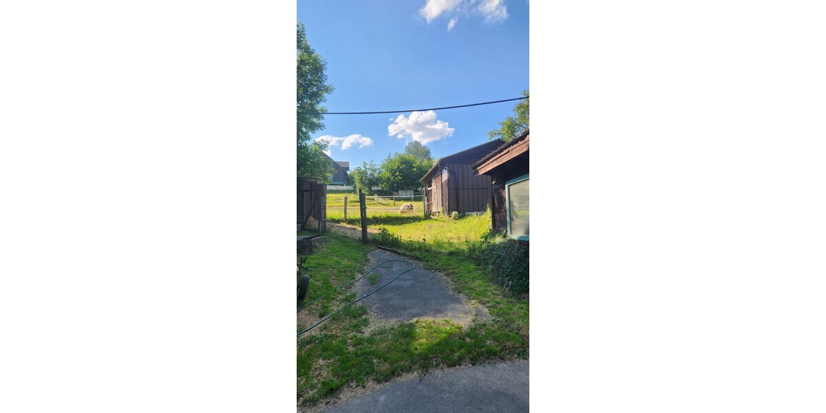Bauernhof mit Stallungen und Ponys - Einfamilienhaus Bad Berleburg | Angebot:26996073