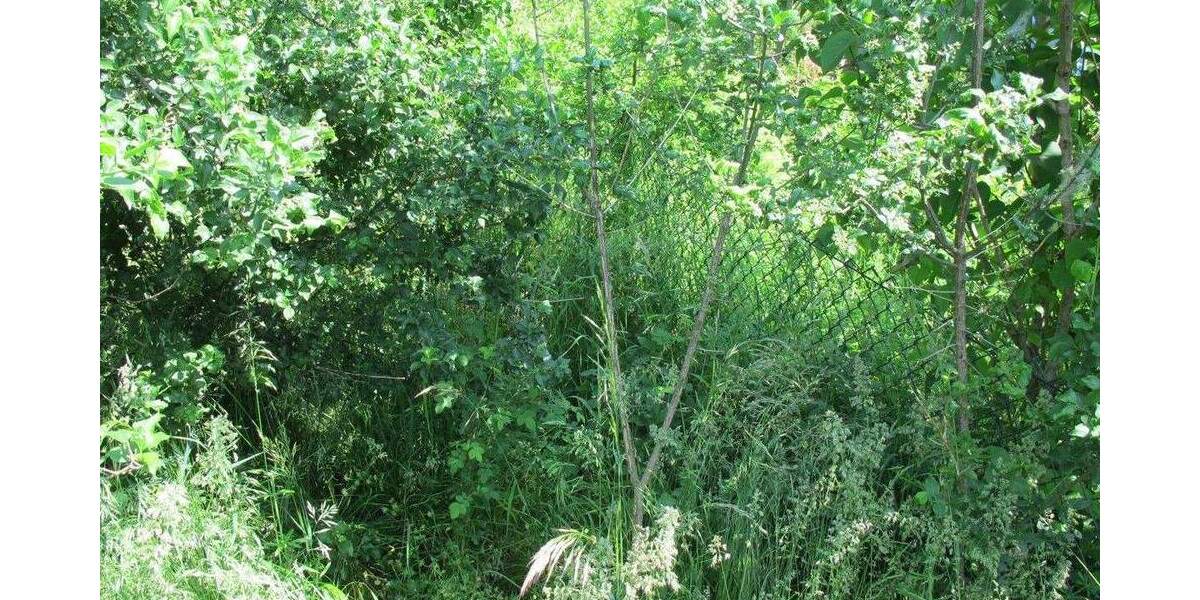 Grundstück Burgkirchen an der Alz Grasset - 338.000&euro; | Angebot:25769722