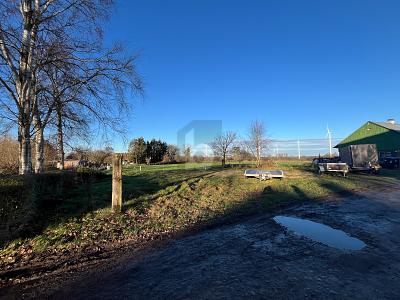 BAUEN IN RUHIGER UND NATÜRLICHER LAGE - Grundstück Steenfeld | Angebot:26714911