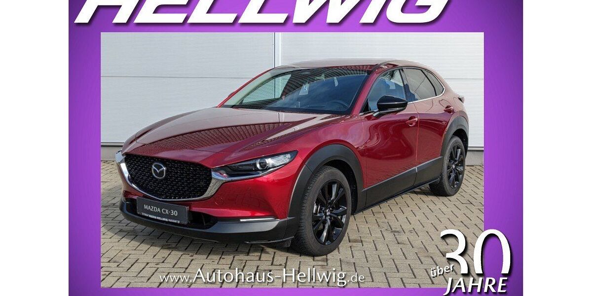 Mazda CX-30 28.790 km 21.980 &euro; Hoyerswerda 02977
