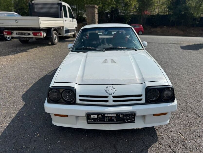 Manta