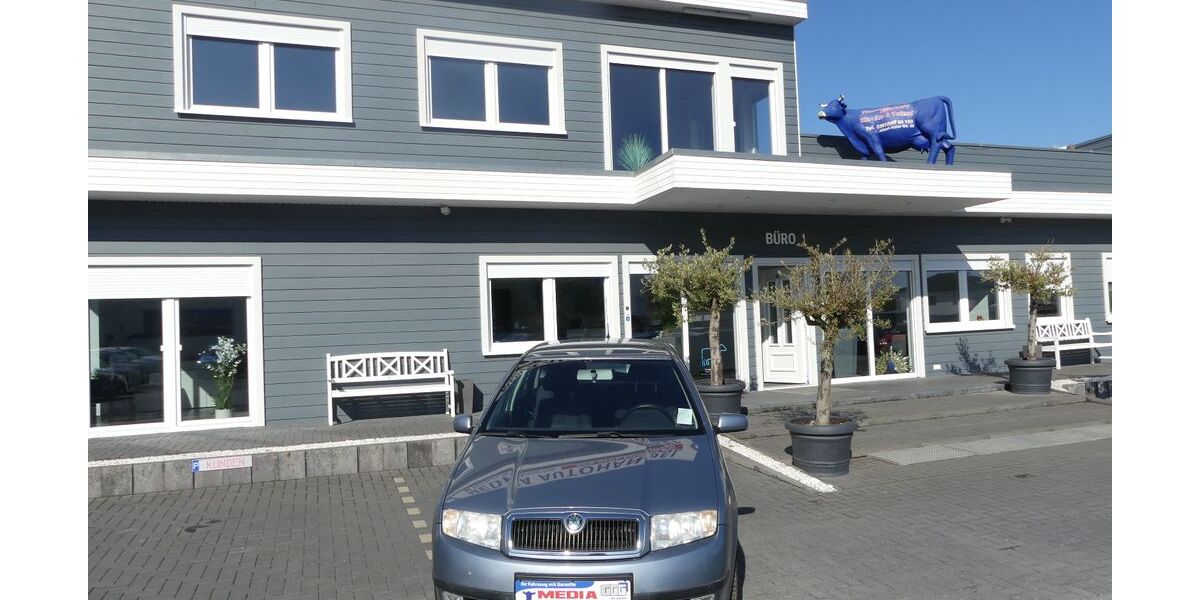 Skoda Fabia 102.000 km 3.000 &euro; Magdeburg 39108