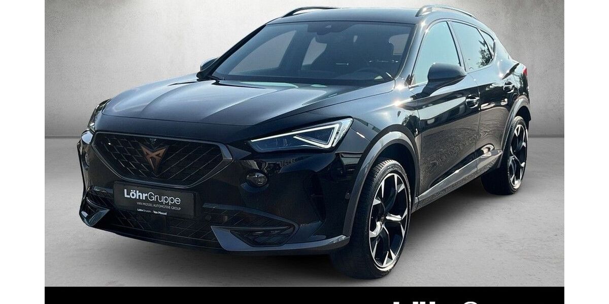 Cupra Formentor 35.697 km 30.890 &euro; Mainz 55120