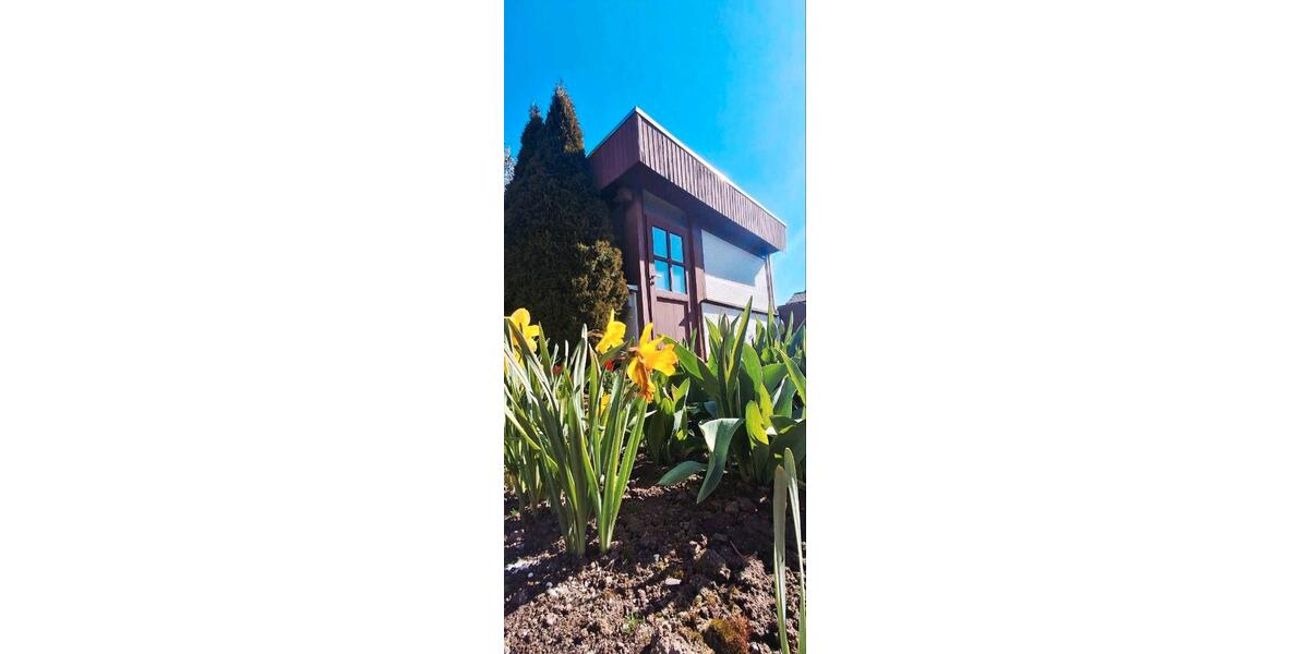Doppelhaushälfte Aschersleben - 5 Zimmer, 80 m&sup2;, 120.000&euro; | Angebot:26474978