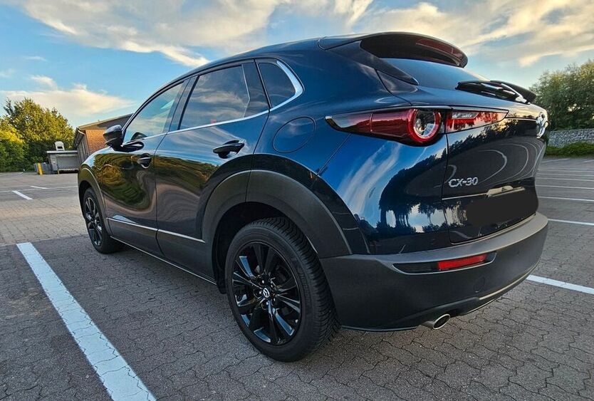 CX-30
