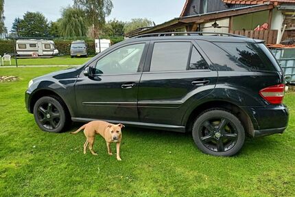 Mercedes ML 350