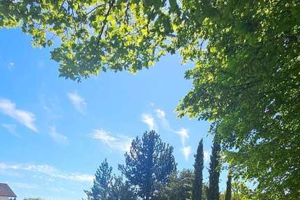 Grundstück Reinheim - 355.000&euro; | Angebot:25420832