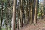 Grundstück Flossenbürg - 170.000&euro; | Angebot:26036735