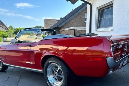 Ford Mustang 72.000 km 45.500 € Bonn 53177