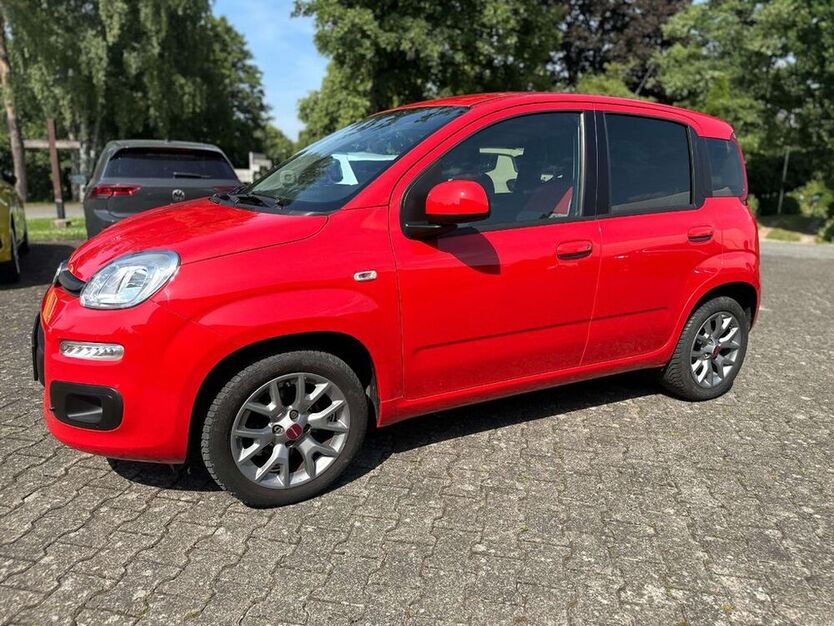 Panda
