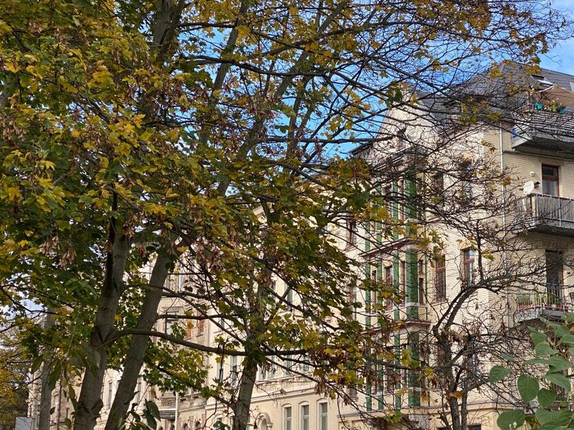Dachgeschoß -auf 2 Ebenen - 1 Monat mietfrei - - 3 Zi - zentrumsnah - Fahrstuhl