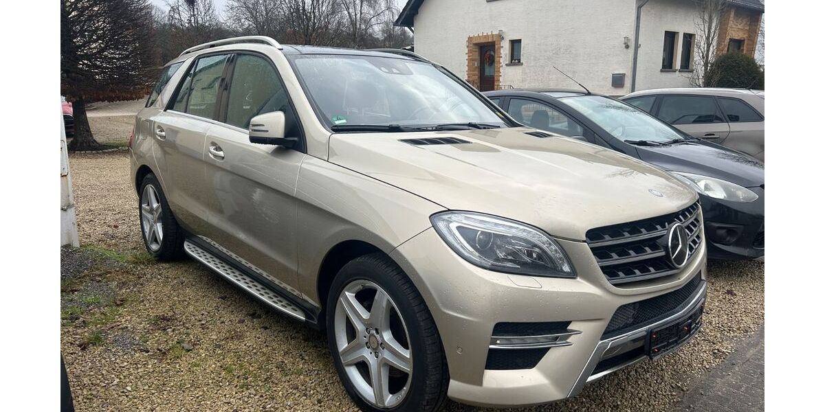 Mercedes-Benz ML 350 250.087 km 15.999 &euro; Baumholder 55774