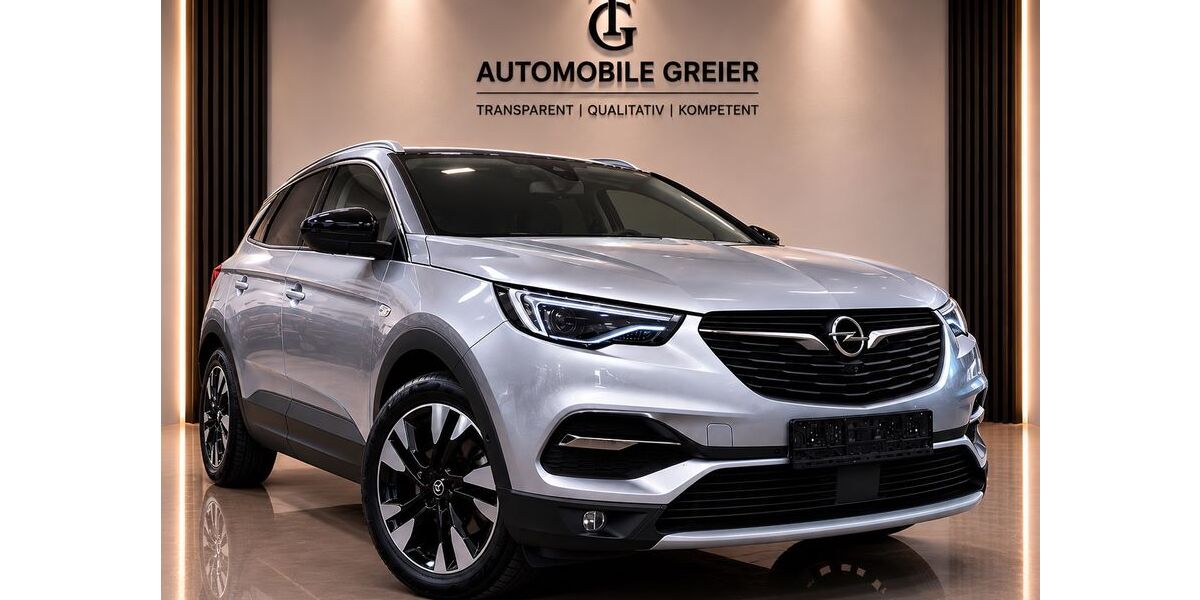 Opel Grandland (X) 133.100 km 13.999 &euro; Nidderau 61130