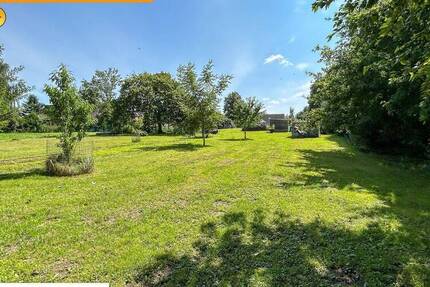 Leben im Grünen zimmer